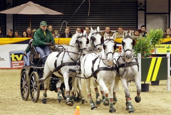 GC Vierspaenner 020.jpg